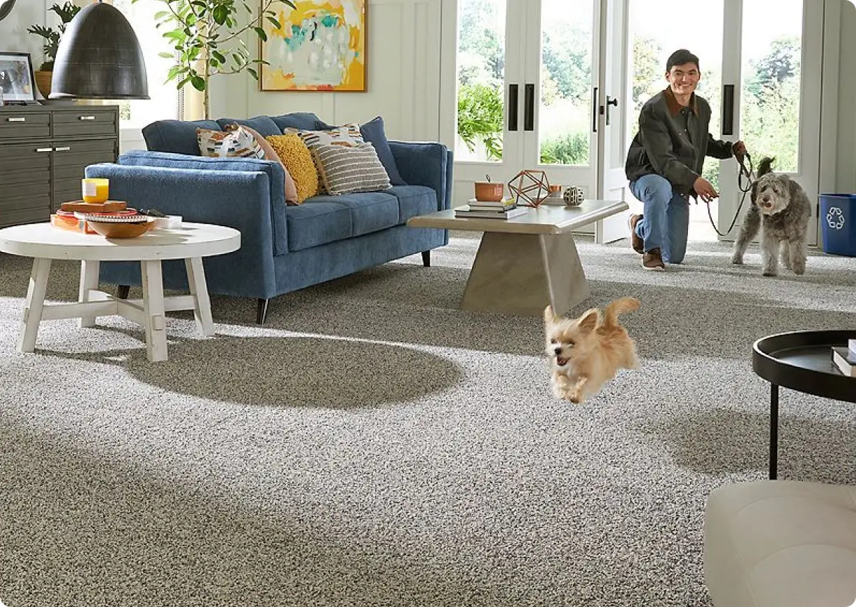 pet-carpet